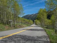 a yellow and black sign is on the street near some mountains and trees in the distance