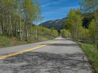 a yellow and black sign is on the street near some mountains and trees in the distance