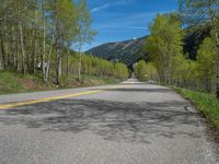 a yellow and black sign is on the street near some mountains and trees in the distance