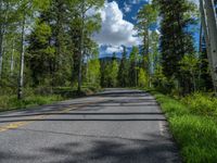 a scenic, winding road on the edge of a mountain range surrounded by tall trees