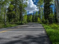 a scenic, winding road on the edge of a mountain range surrounded by tall trees