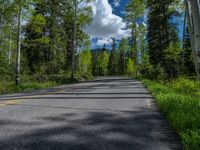 a scenic, winding road on the edge of a mountain range surrounded by tall trees