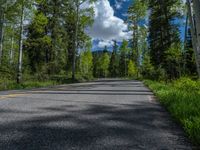 a scenic, winding road on the edge of a mountain range surrounded by tall trees