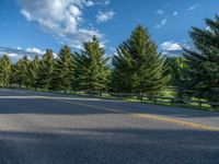 a empty road that goes through a grassy area with mountains in the background as well as trees