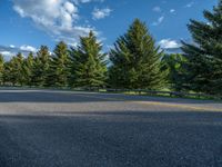 a empty road that goes through a grassy area with mountains in the background as well as trees