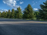 a empty road that goes through a grassy area with mountains in the background as well as trees