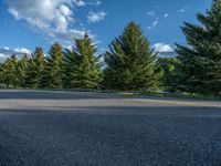 a empty road that goes through a grassy area with mountains in the background as well as trees