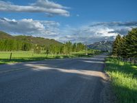 a empty road that goes through a grassy area with mountains in the background as well as trees