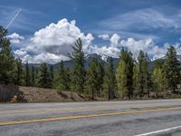 road in the mountains with pine trees and mountains in the background with blue sky with fluffy clouds