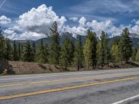 road in the mountains with pine trees and mountains in the background with blue sky with fluffy clouds