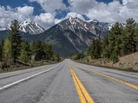 road in the mountains with pine trees and mountains in the background with blue sky with fluffy clouds