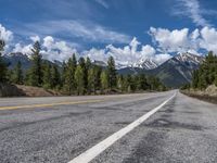 road in the mountains with pine trees and mountains in the background with blue sky with fluffy clouds