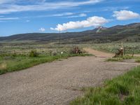 Rural Colorado Mountain Road