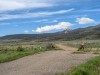 Rural Colorado Mountain Road