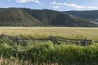 Rural Colorado: Nature's Beauty in a Field