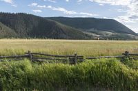 Rural Colorado: Nature's Beauty in a Field