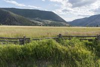 Rural Colorado: Nature's Beauty in a Field