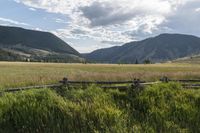 Rural Colorado: Nature's Beauty in a Field