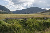 Rural Colorado: Nature's Beauty in a Field