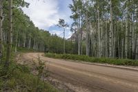 Rural Colorado: Embrace the Nature and Woody Plants