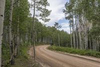 Rural Colorado: Embrace the Nature and Woody Plants