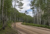 Rural Colorado: Embrace the Nature and Woody Plants
