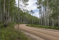 Rural Colorado: Embrace the Nature and Woody Plants