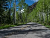 a scenic, winding road on the edge of a mountain range surrounded by tall trees