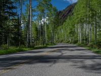 a scenic, winding road on the edge of a mountain range surrounded by tall trees