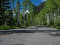 a scenic, winding road on the edge of a mountain range surrounded by tall trees