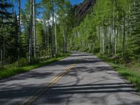 a scenic, winding road on the edge of a mountain range surrounded by tall trees