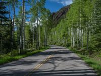 a scenic, winding road on the edge of a mountain range surrounded by tall trees