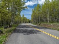 a yellow and black sign is on the street near some mountains and trees in the distance