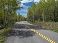 a yellow and black sign is on the street near some mountains and trees in the distance