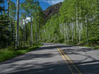 a scenic, winding road on the edge of a mountain range surrounded by tall trees