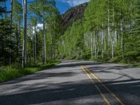 a scenic, winding road on the edge of a mountain range surrounded by tall trees