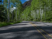 a scenic, winding road on the edge of a mountain range surrounded by tall trees