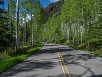 a scenic, winding road on the edge of a mountain range surrounded by tall trees