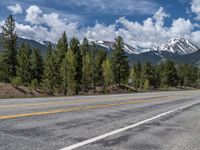 road in the mountains with pine trees and mountains in the background with blue sky with fluffy clouds