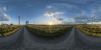 a photo of a dirt road surrounded by wind turbines and farm buildings in the background