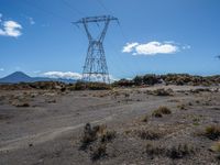 Rural Dirt Road in North Island, New Zealand