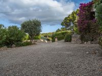 Rural Driveway in Majorca, Spain at Dawn