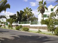 Rural Estate with Palm Trees on Fuerteventura Island