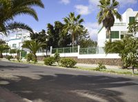 Rural Estate with Palm Trees on Fuerteventura Island