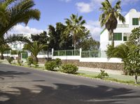 Rural Estate with Palm Trees on Fuerteventura Island