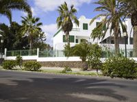 Rural Estate with Palm Trees on Fuerteventura Island