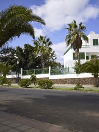 Rural Estate with Palm Trees on Fuerteventura Island