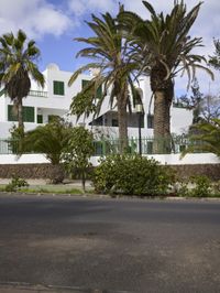 Rural Estate with Palm Trees on Fuerteventura Island