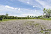 a empty lot on a sunny day with trees and some rocks around it and a green grassy area in the background