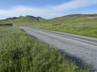 Rural Field in California: Vibrant Agriculture